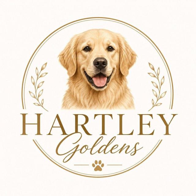 Hartley Goldens Logo